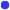 bluedot.gif (845 bytes)